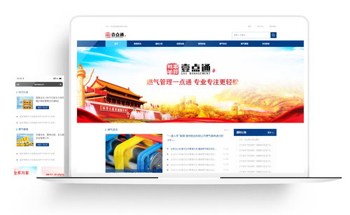 武漢金百瑞科技 一站式網絡技術解決方案的領航者